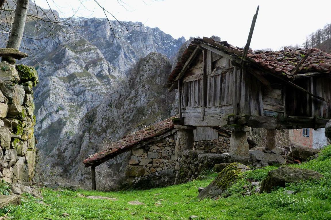 La Nana Del Mar / The Lullaby Of The Sea On Old Harbour Apartment Cudillero Exterior photo